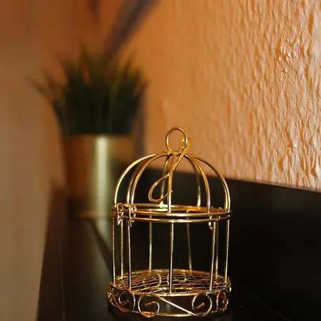 Frau Otto Appartement Erfurt